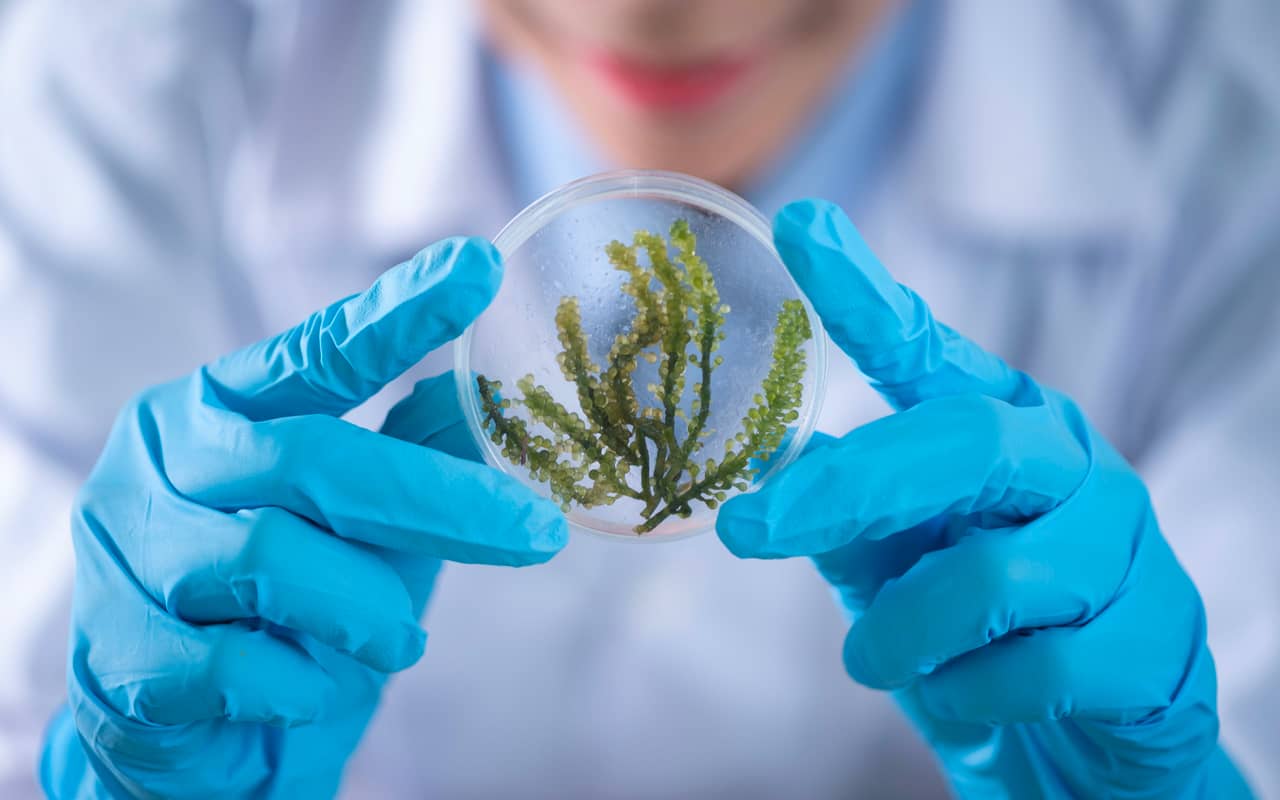 a picture of science