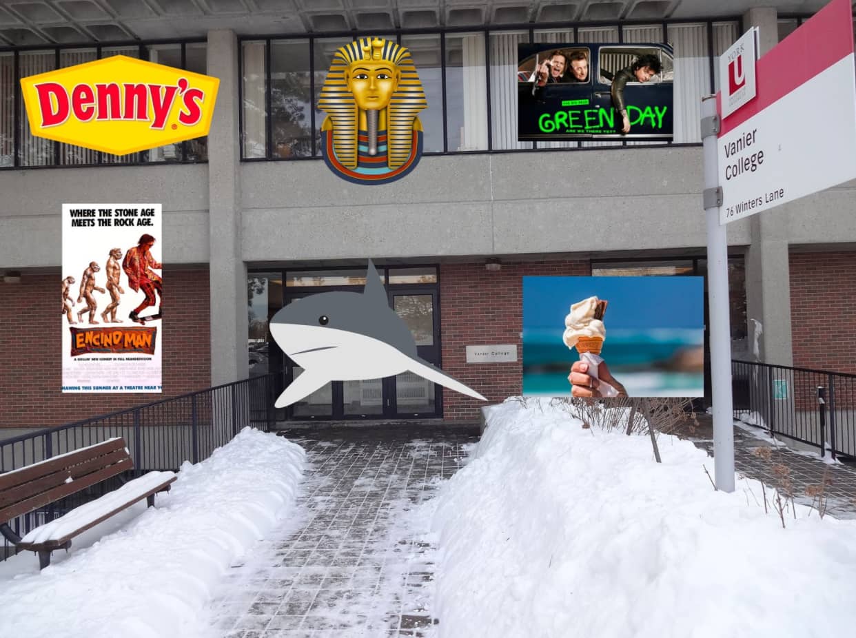 an example using vanier college at york university