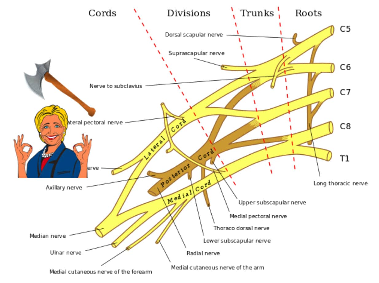 axillary nerve mnemonic for brachial plexus