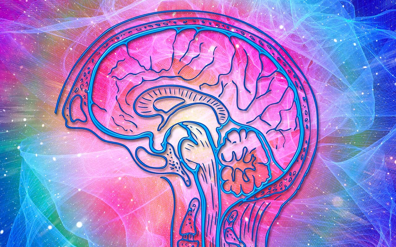 changes in the brain