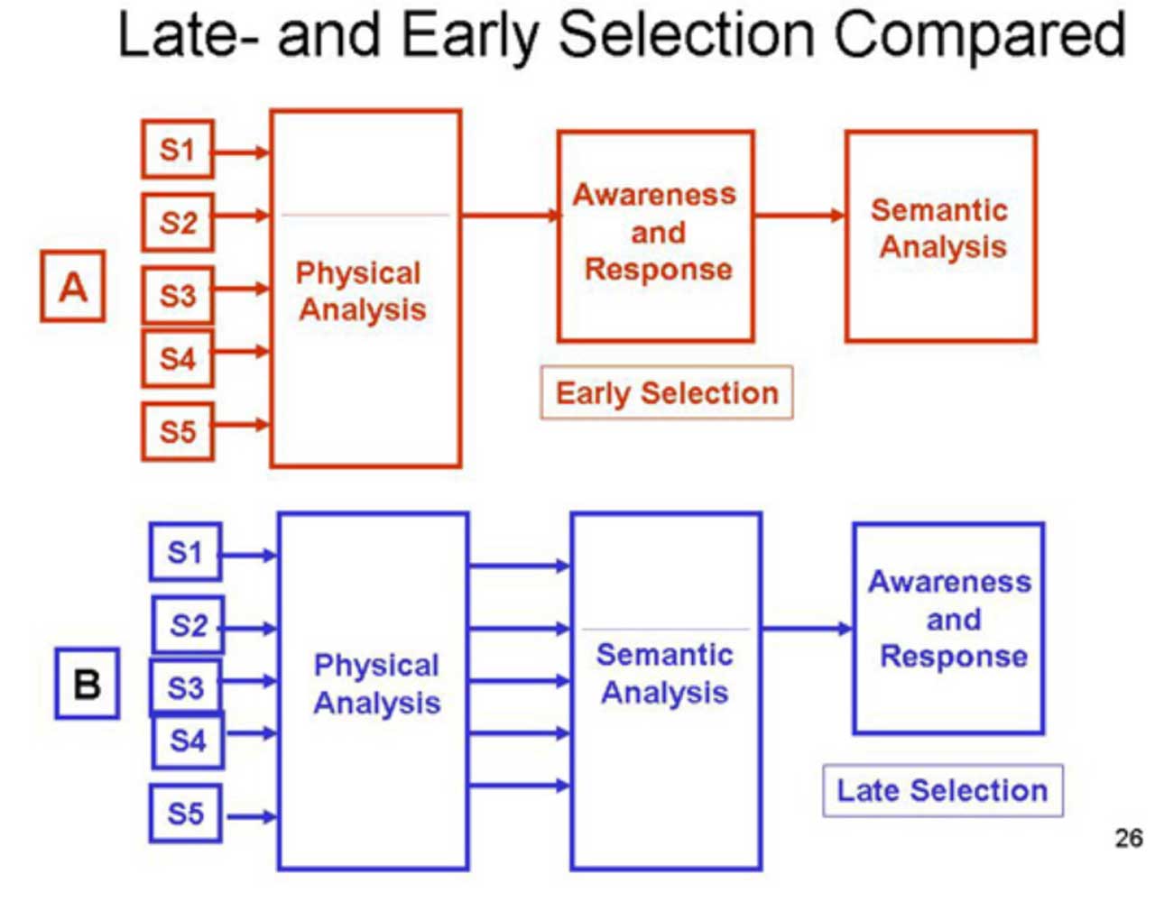 Late and Early selection comparison chart from Berkeley