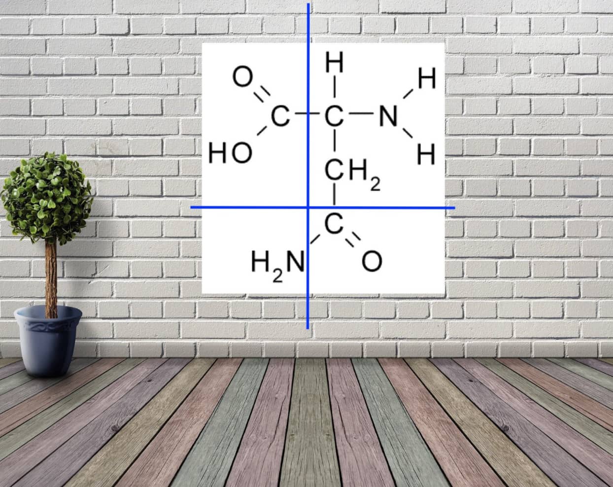 fischer diagram in a memory palace