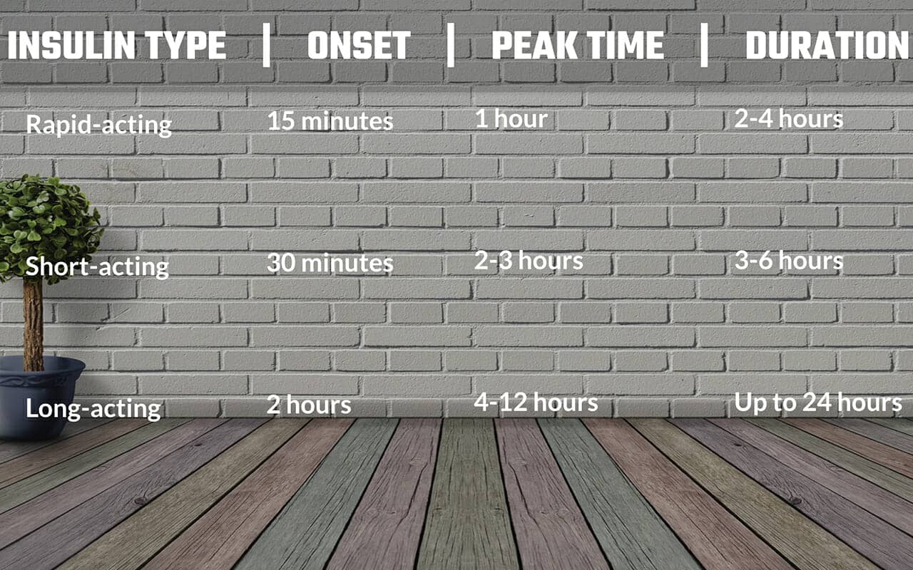 Insulin onset peak time duration Memory Palace example