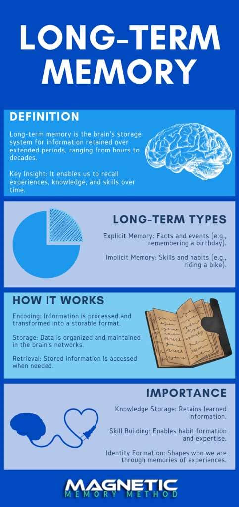 Long-term Memory infographic by Anthony Metivier