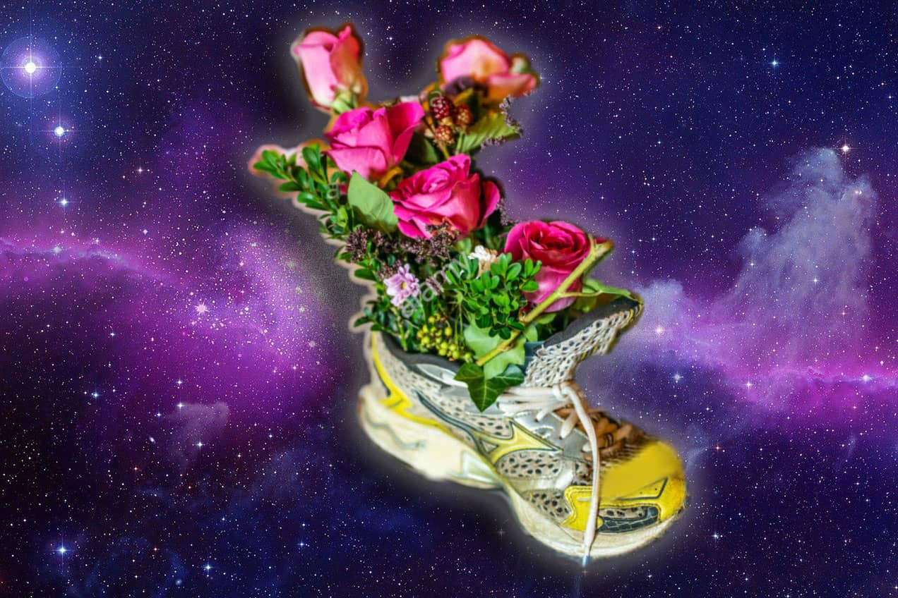 Mnemonic Example of using the pegword method to memorize the name Rose using a shoe with flowers sprouting from it