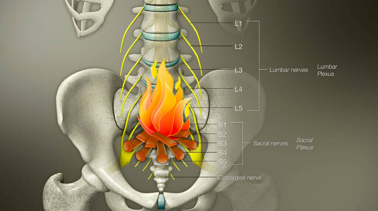 sacral plexus mnemonic