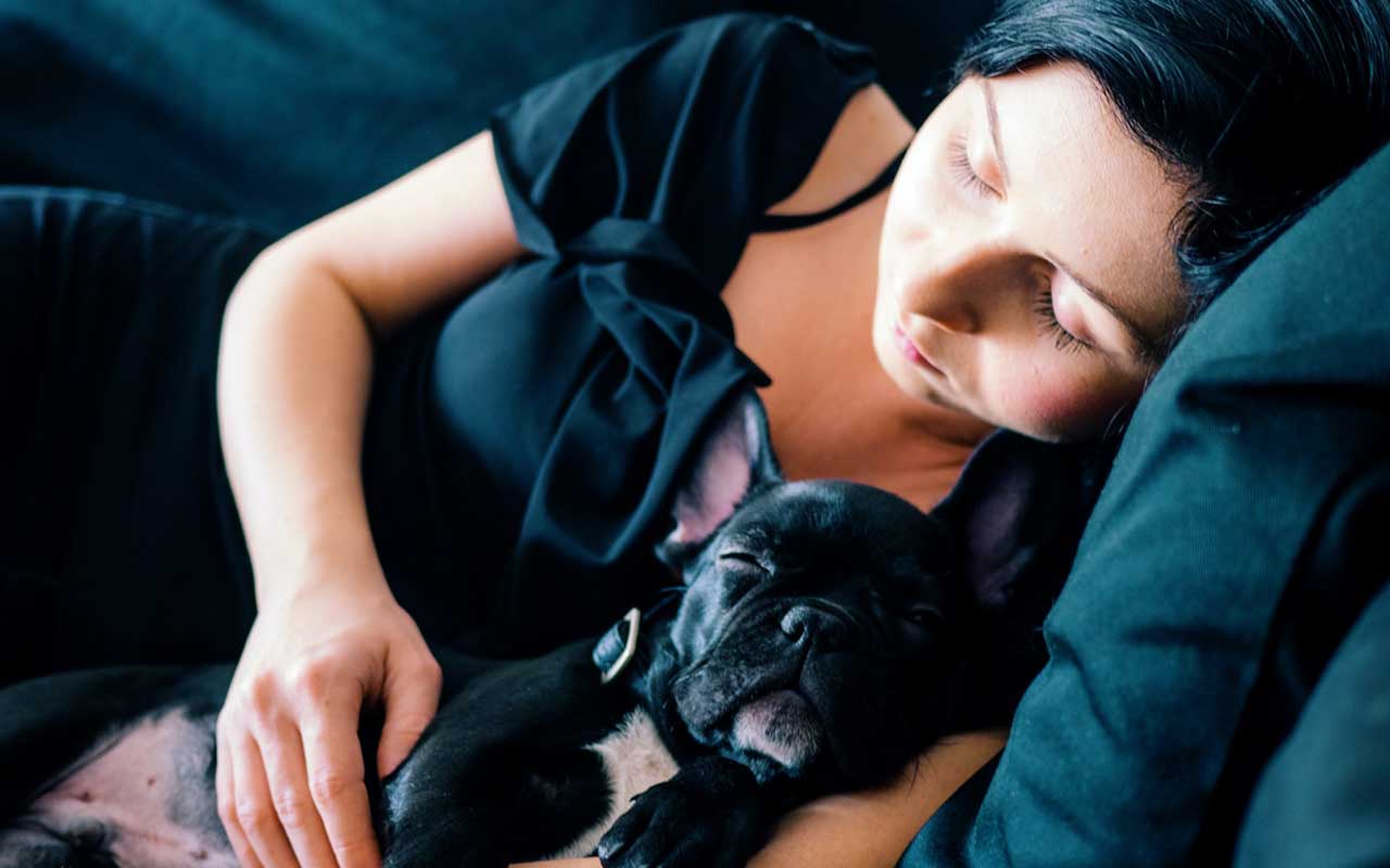 A woman naps on a couch with her French Bulldog. How to concentrate better? Get better sleep.