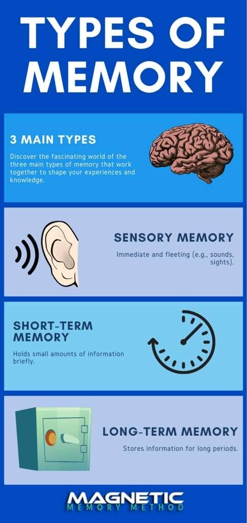 Types of memory infographic by Anthony Metivier