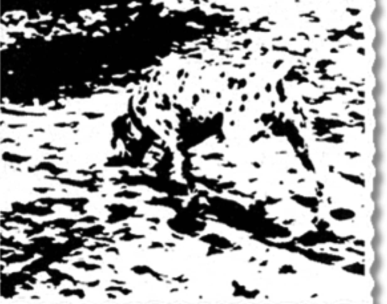 visual analytical thinking test